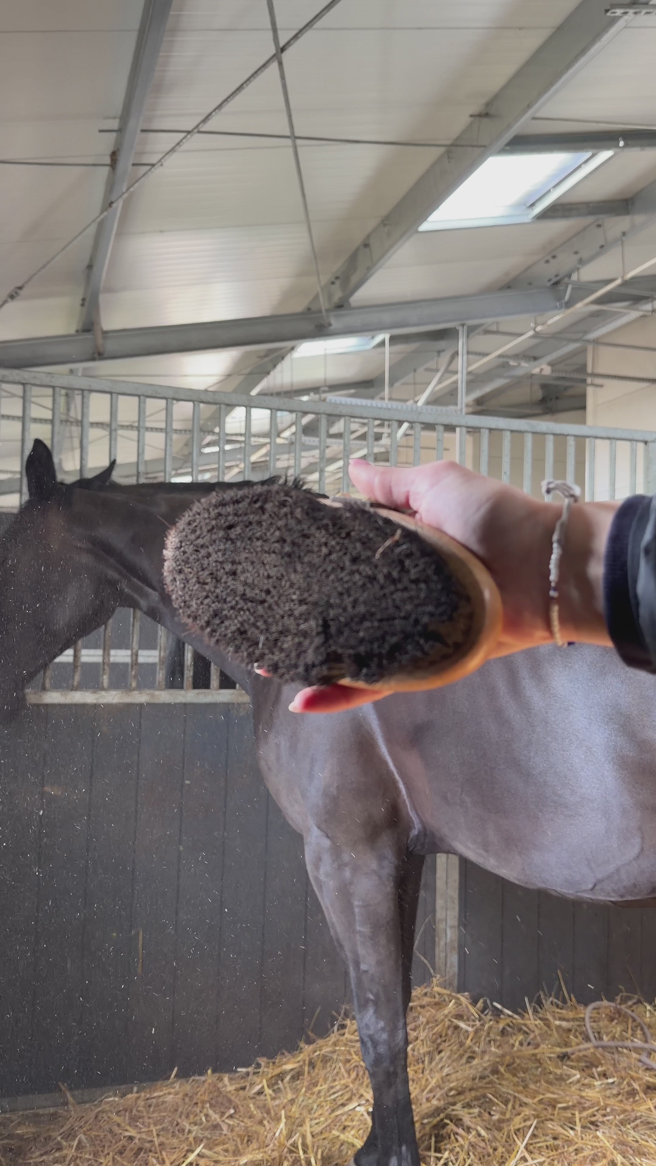 EQUI REPAIR Mane & Tail Spray – Collagen + Peptides | Nat Lab