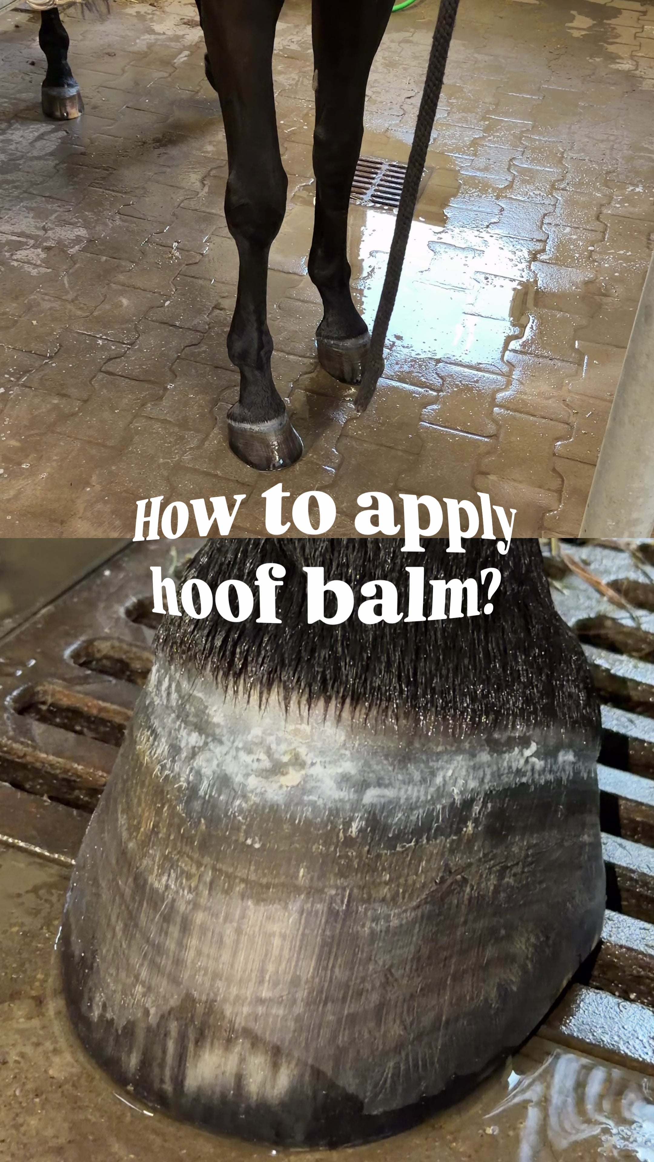 EQUI REPAIR Hoof Balm – Collagen + Rich oils | Nat Lab